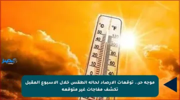 موجة حر.. توقعات الأرصاد لحالة الطقس خلال الأسبوع المقبل تكشف مفاجآت غير متوقعة